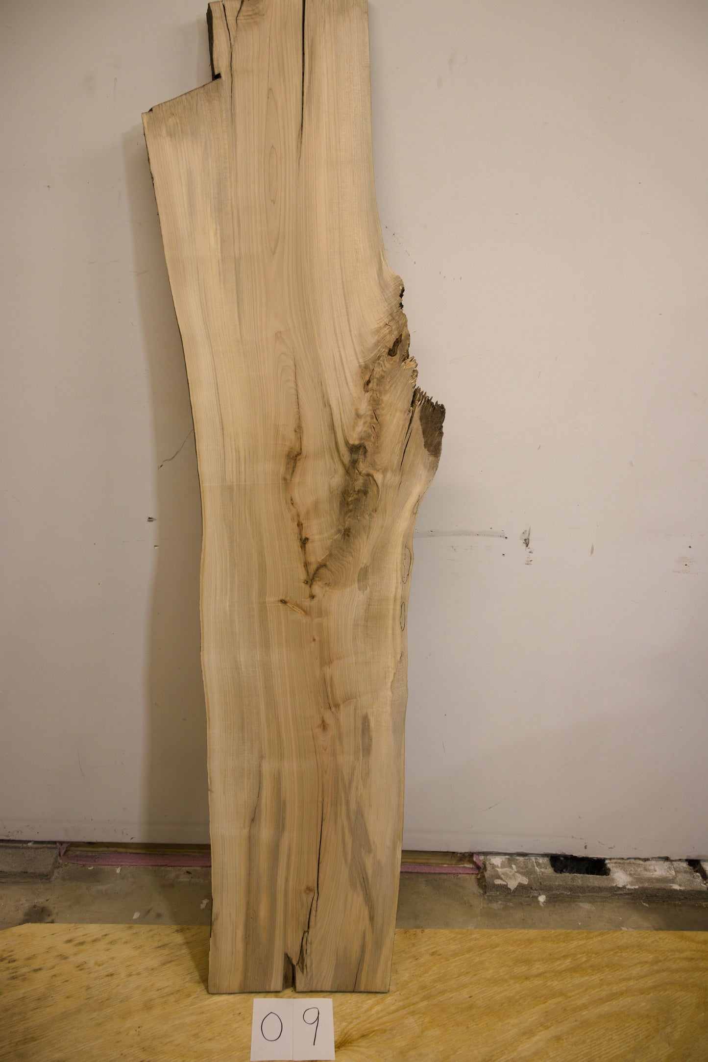 Silver Maple Live Edge Slab - 09