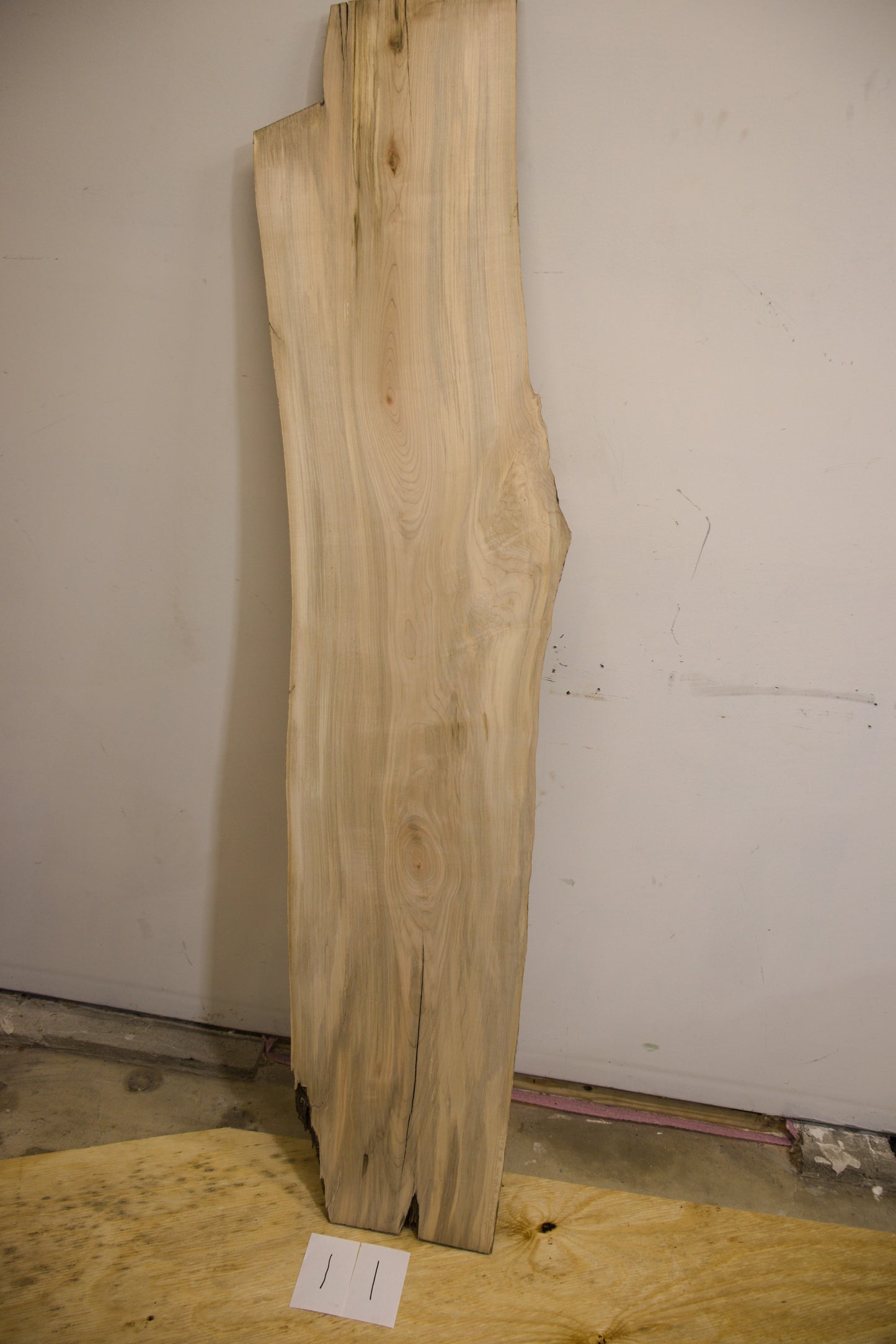 Silver Maple Live Edge Slab - 11