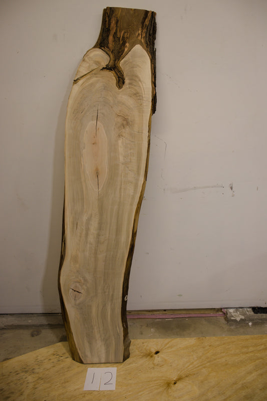 Silver Maple Live Edge Slab - 12